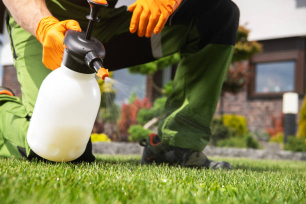 Best Pest Inspection Near Me  in Fairmont, WV