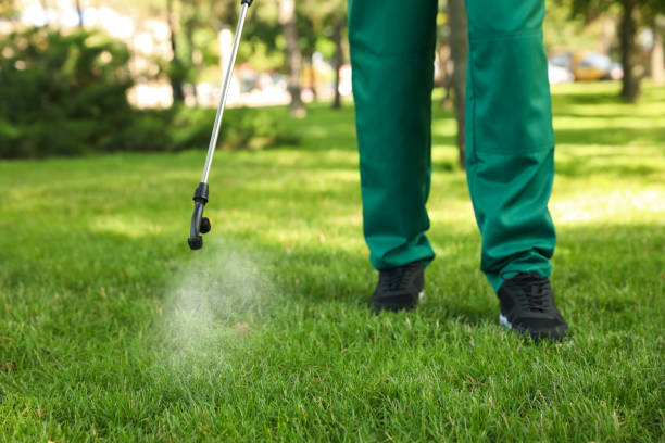 Best Exterminator Services  in Fairmont, WV