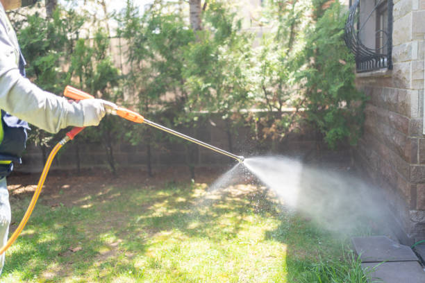 Trusted Fairmont, WV Pest Control Experts