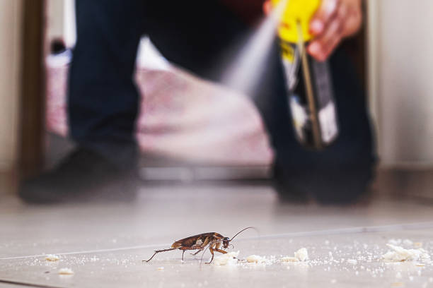 Best Best Pest Control Companies  in Fairmont, WV