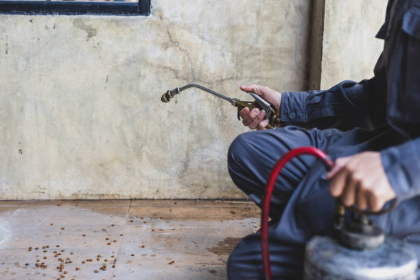 Best Affordable Pest Control Services  in Fairmont, WV